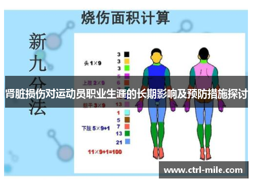 肾脏损伤对运动员职业生涯的长期影响及预防措施探讨 肾脏损伤对运动员职业生涯的长期影响及预防措施探讨