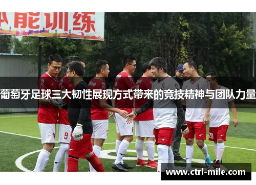 葡萄牙足球三大韧性展现方式带来的竞技精神与团队力量 葡萄牙足球三大韧性展现方式带来的竞技精神与团队力量