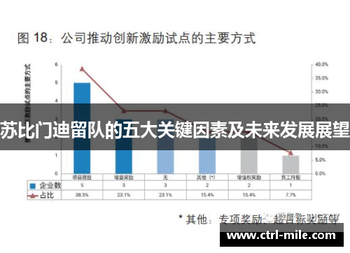 苏比门迪留队的五大关键因素及未来发展展望 苏比门迪留队的五大关键因素及未来发展展望