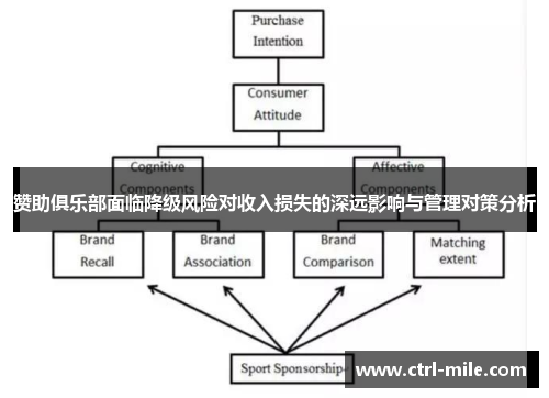赞助俱乐部面临降级风险对收入损失的深远影响与管理对策分析