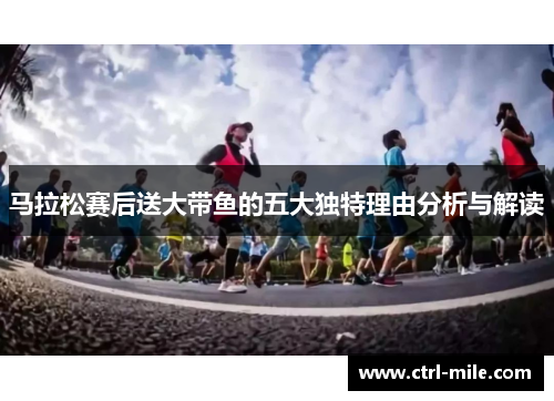 马拉松赛后送大带鱼的五大独特理由分析与解读 马拉松赛后送大带鱼的五大独特理由分析与解读