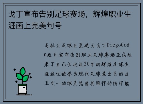 戈丁宣布告别足球赛场，辉煌职业生涯画上完美句号