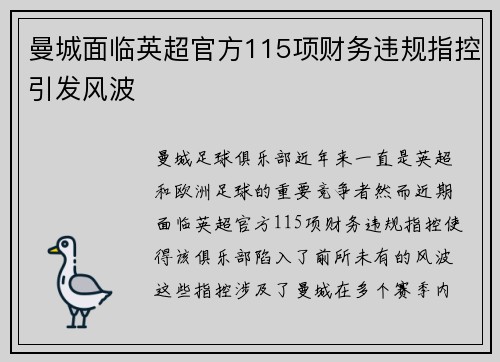 曼城面临英超官方115项财务违规指控引发风波 曼城面临英超官方115项财务违规指控引发风波